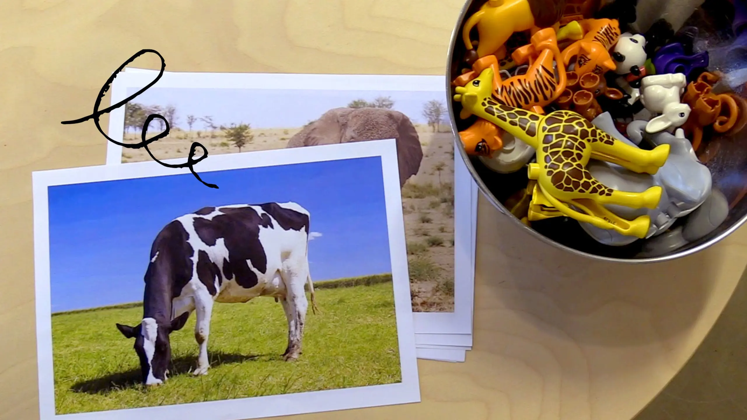 pictures of cow and bowl with toy animals